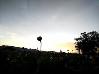 18-07-22-19-03-19-485_photo.jpg