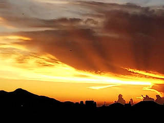 18-07-22-19-12-25-764_photo.jpg