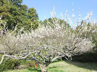 DSC_2562.jpg