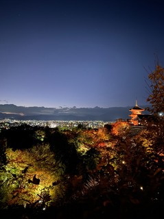 S__63291401.jpg