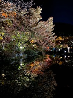 S__63291404.jpg